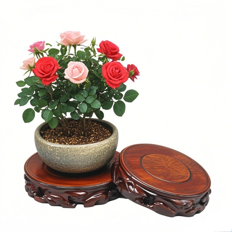 Sottovaso in Legno e Supporto  - Coffee Tea Gardens recensione e prezzo