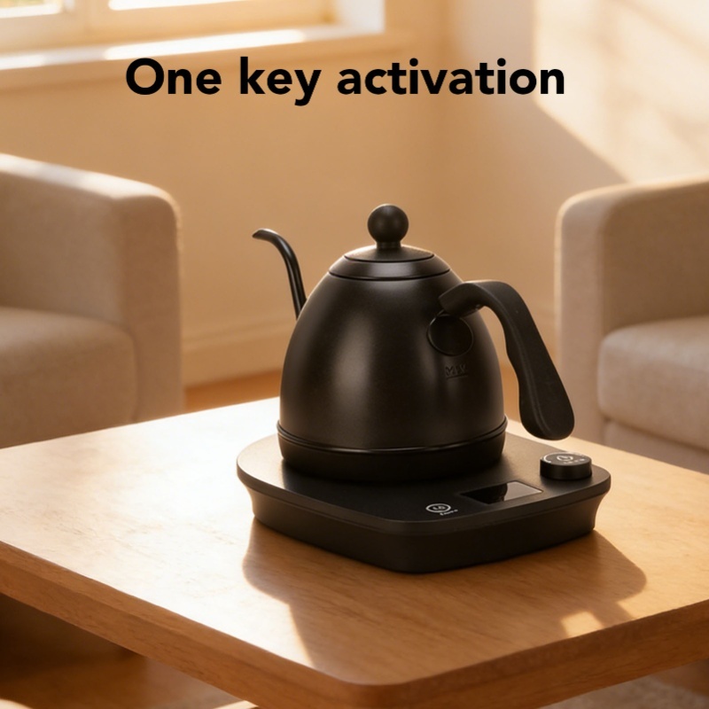 Bollitore Elettrico a Collo d' - Pour Over Kettle recensione e prezzo